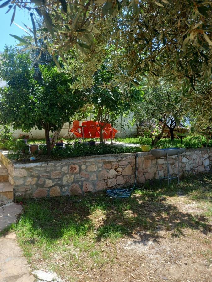 Villa Cela Εξαμίλιο Εξωτερικό φωτογραφία