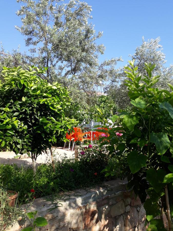 Villa Cela Εξαμίλιο Εξωτερικό φωτογραφία